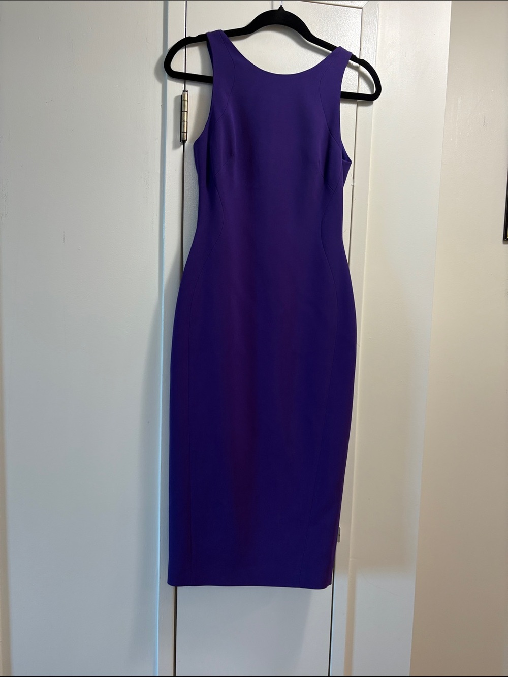 Antonio Berardi Sleek Purple Sleeveless Sheath Dress